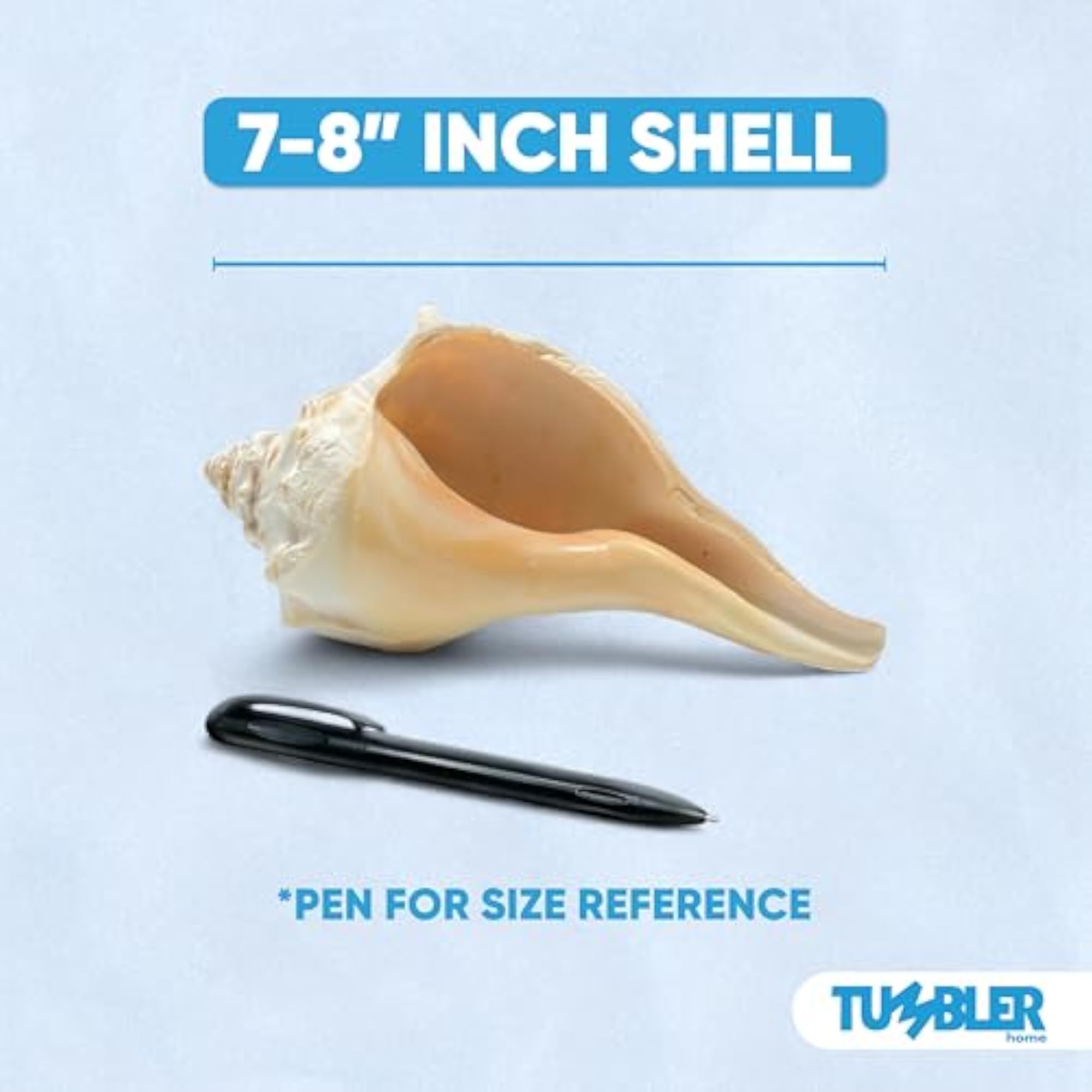 Large Conch Shell for Aquarium and Beach Decor